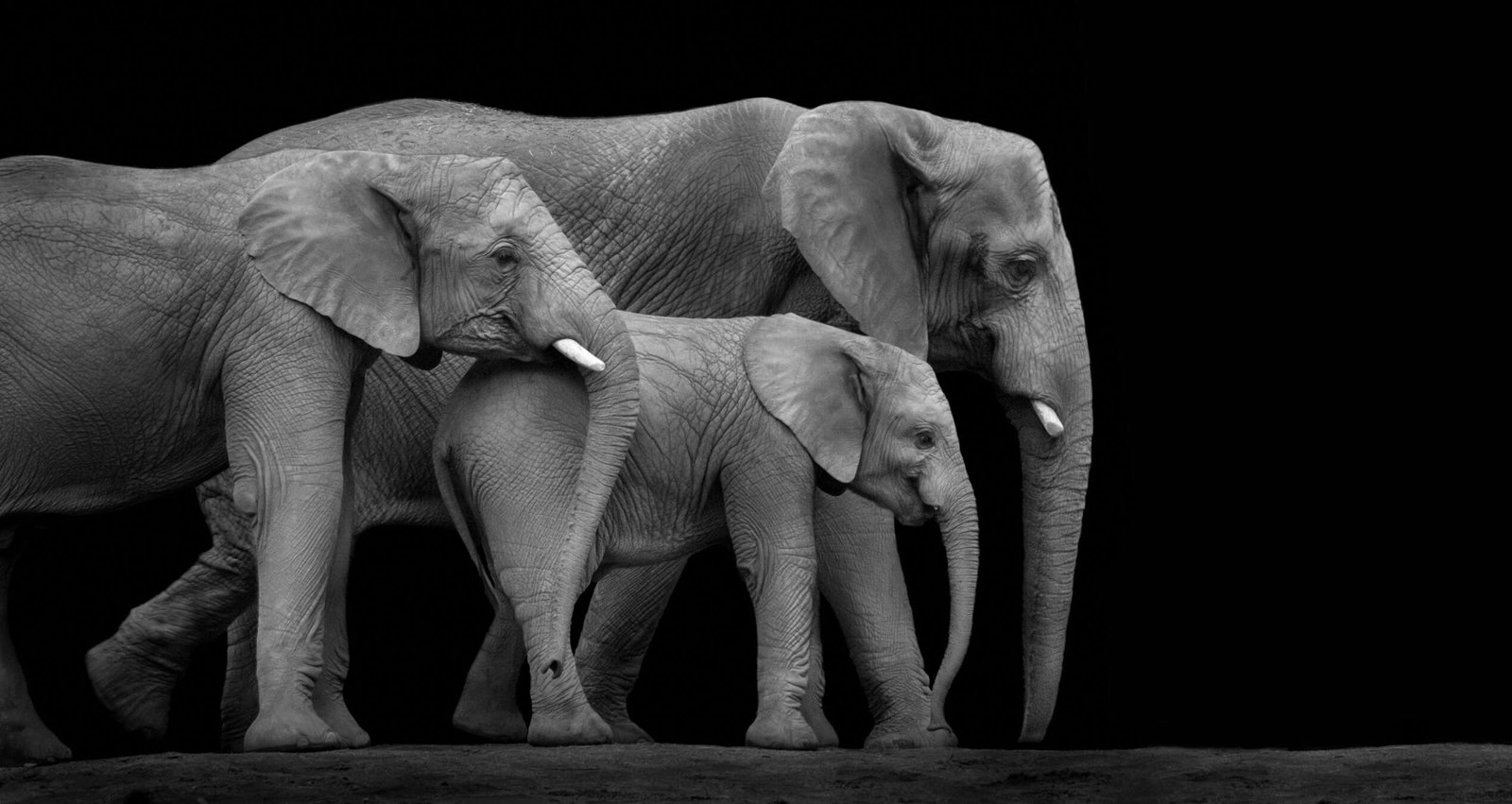 Architects Paper impression numérique AP Digital 2