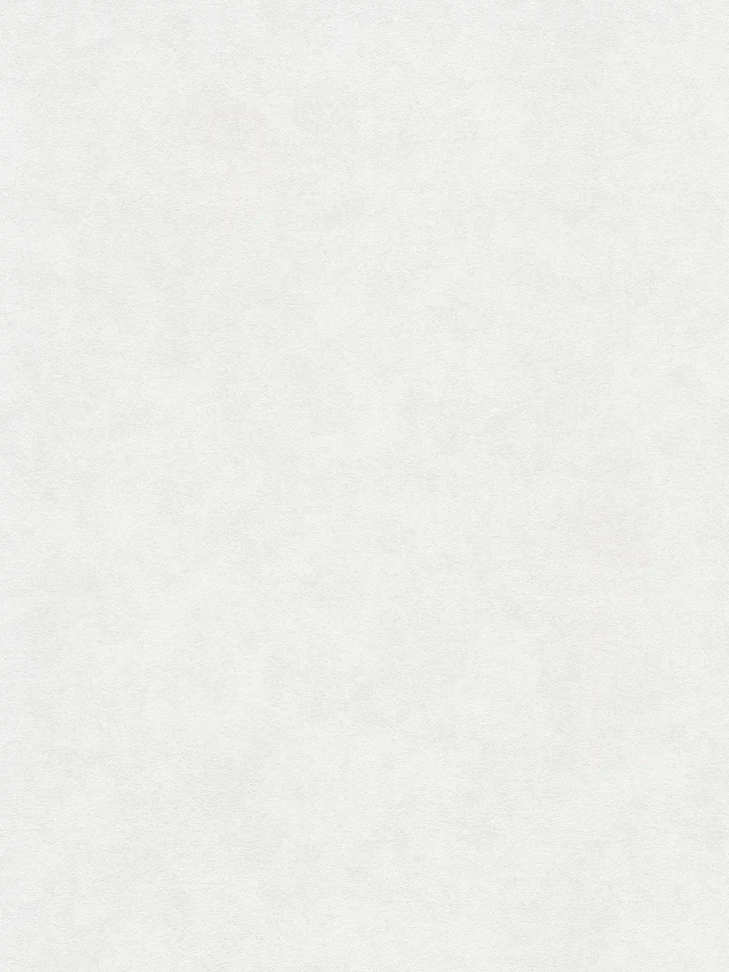 A.S. Création Wallpaper Attractive 3