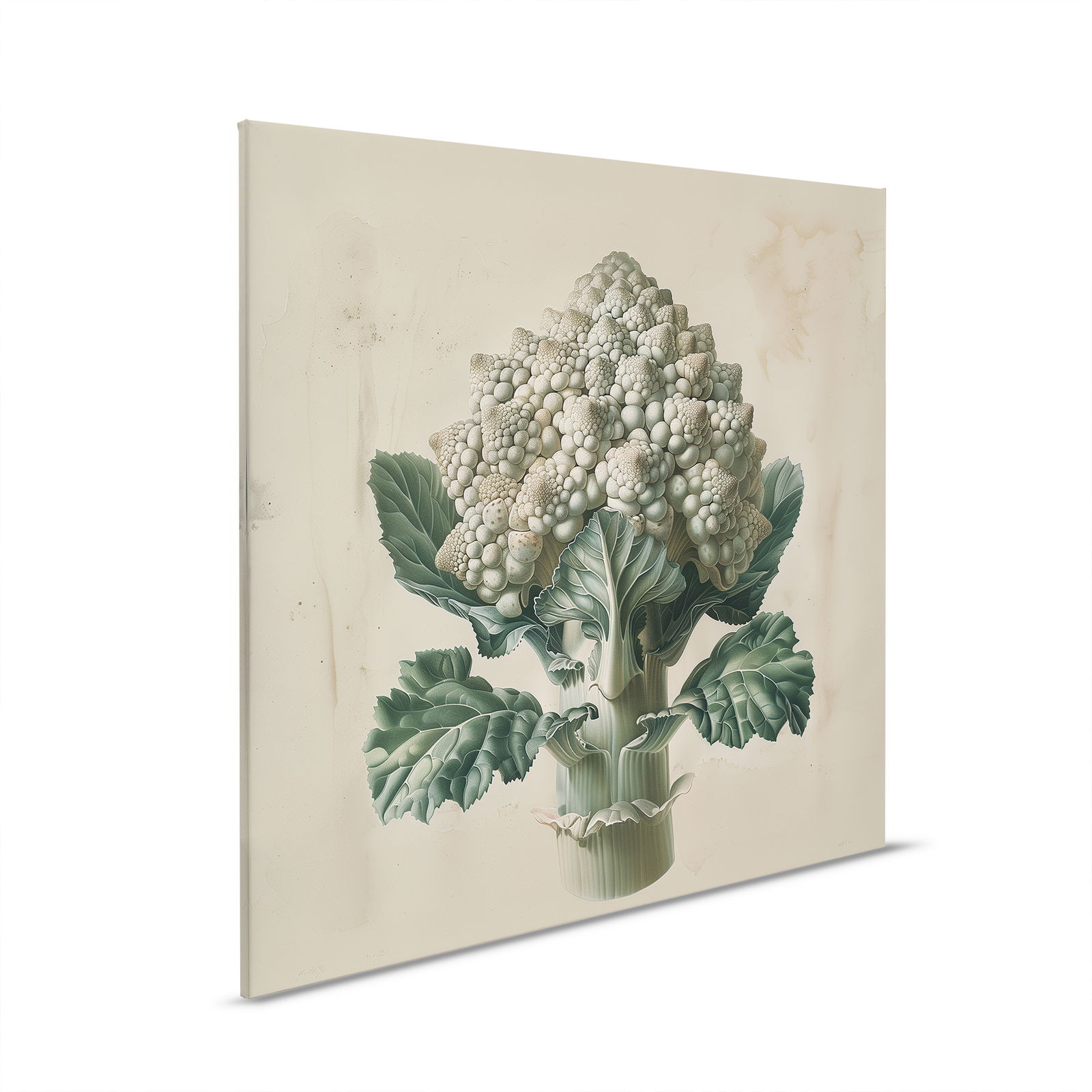 A.S. Création tableau sur toile Canvas 2024