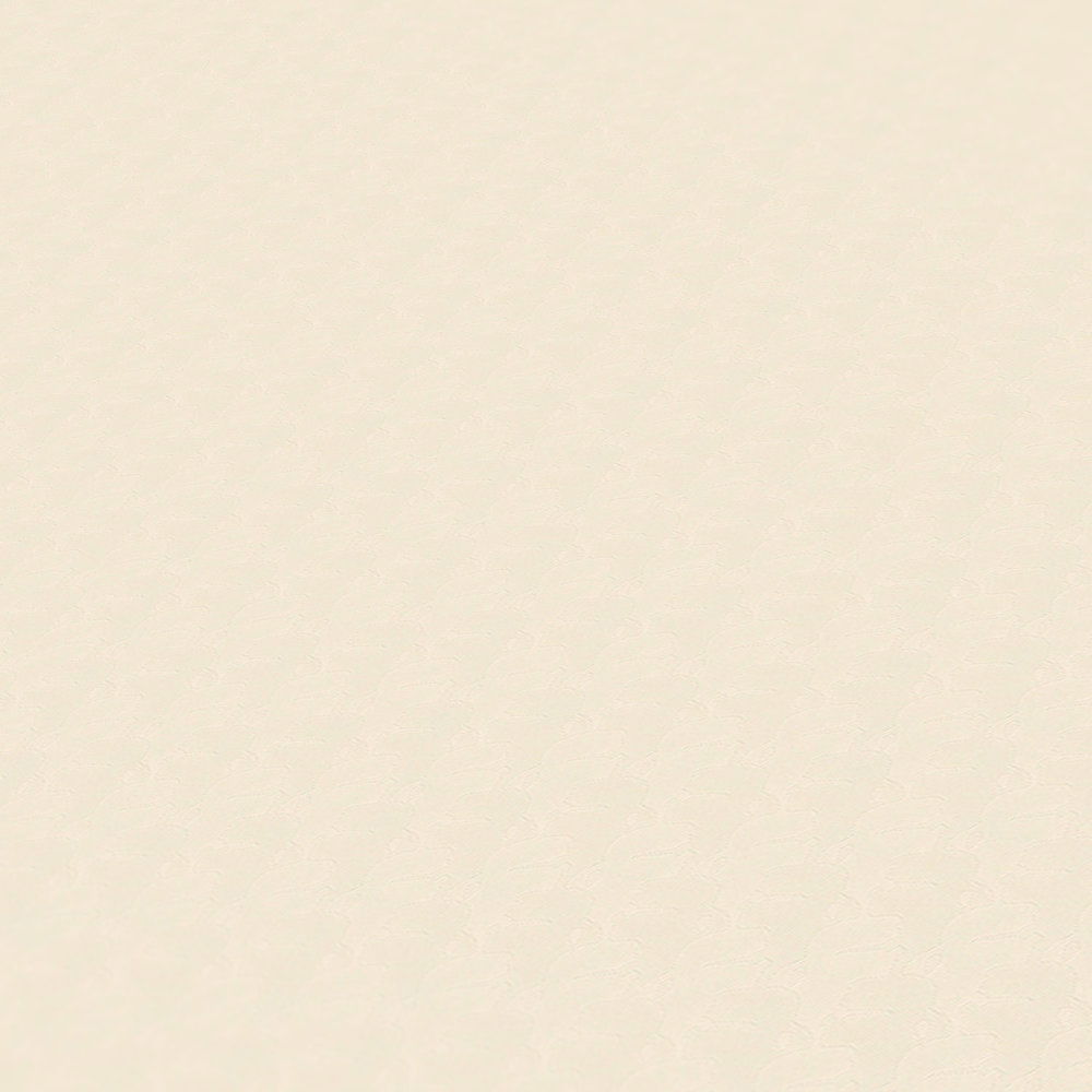 Karl Lagerfeld Tapete Karl Lagerfeld Karl Lagerfeld Tapete Karl Lagerfeld