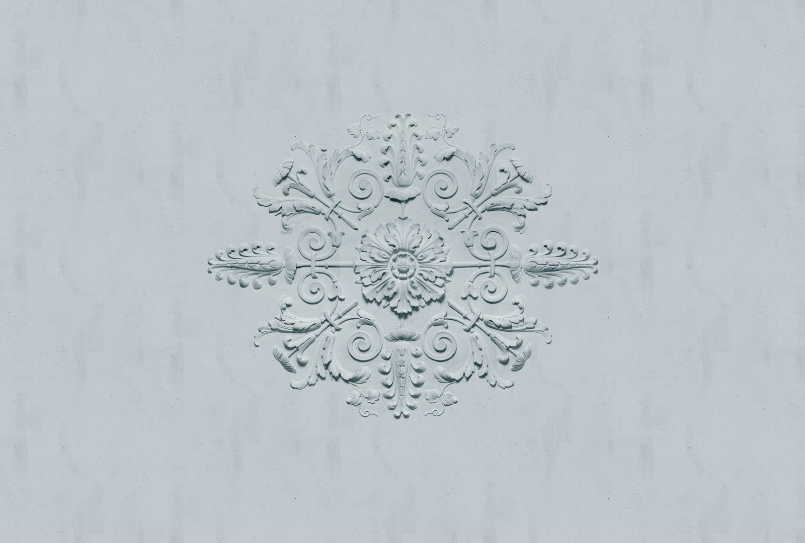 walls by patel Photo wallpaper Walls by Patel 5