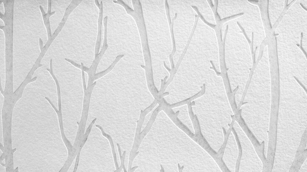 A.S. Création Tapete Meistervlies Create