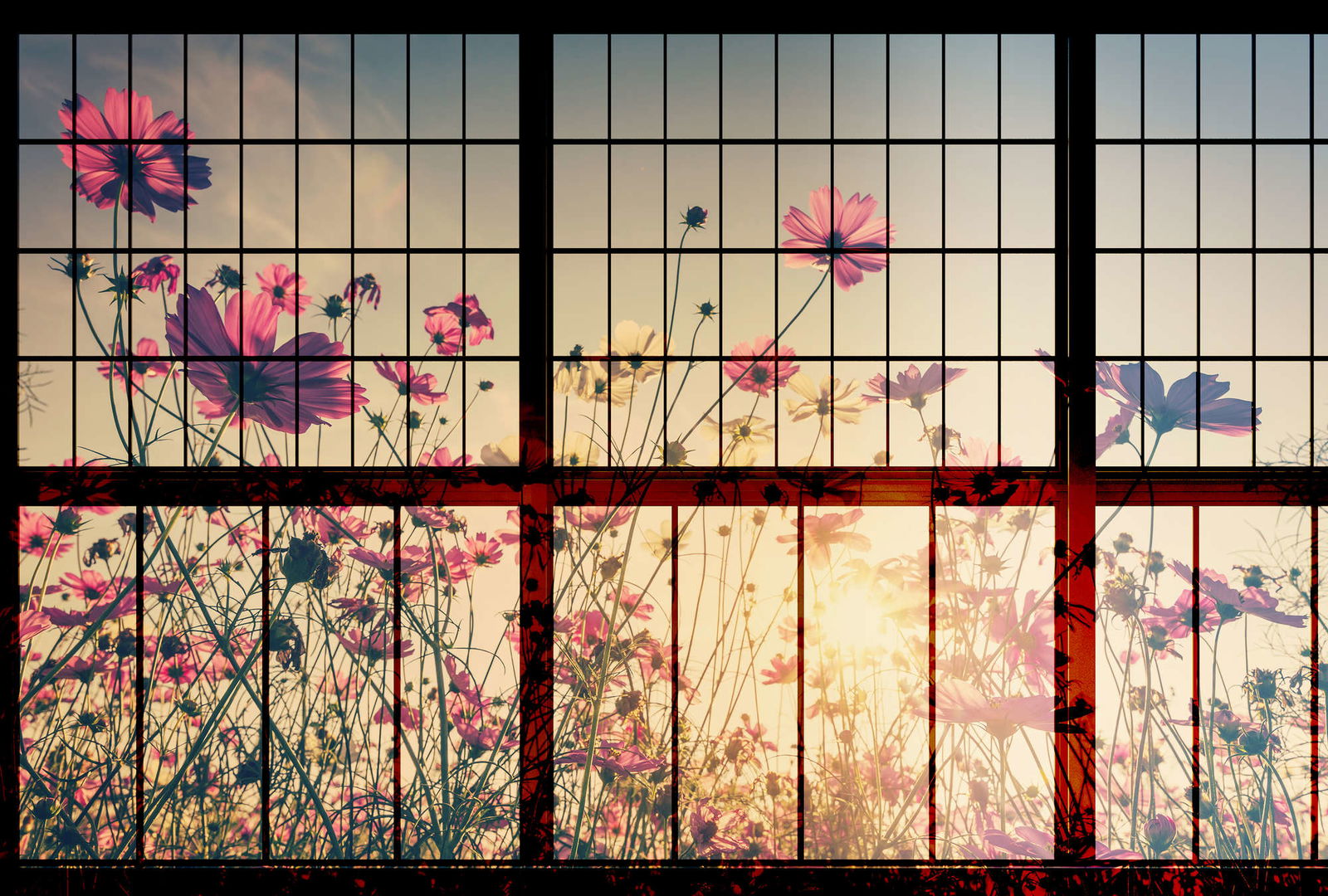 walls by patel Fotobehang Walls by Patel 2