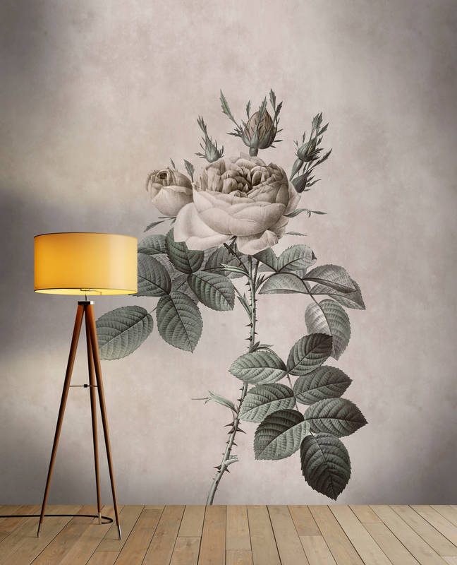 walls by patel Photo wallpaper Walls by Patel walls by patel Photo wallpaper Walls by Patel