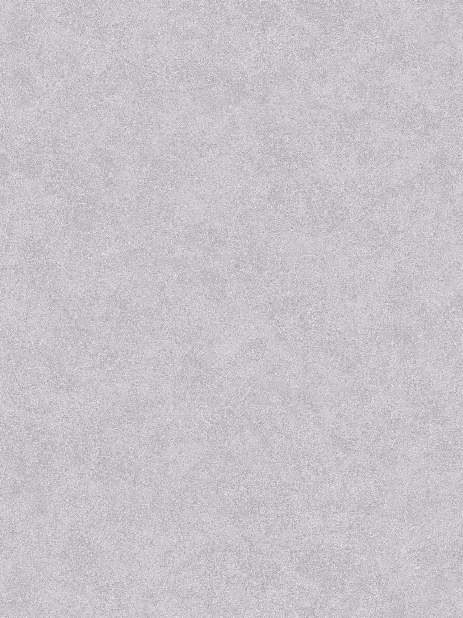 A.S. Création Обои Beton 2