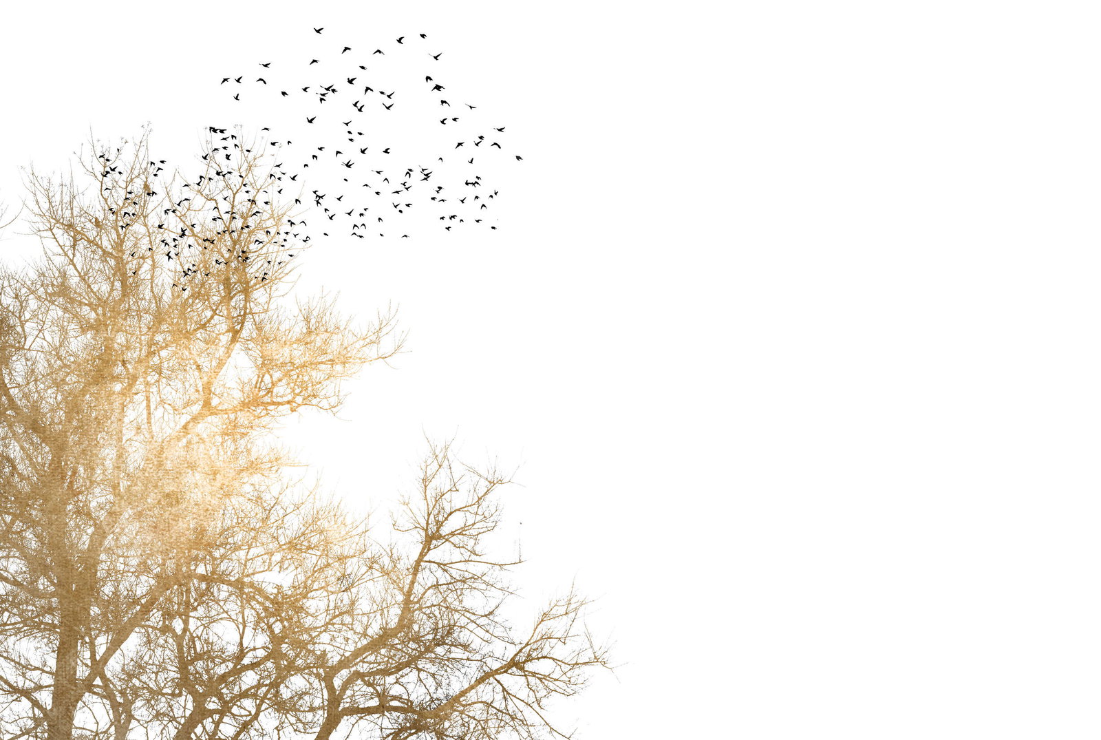 livingwalls Фотообои ARTist