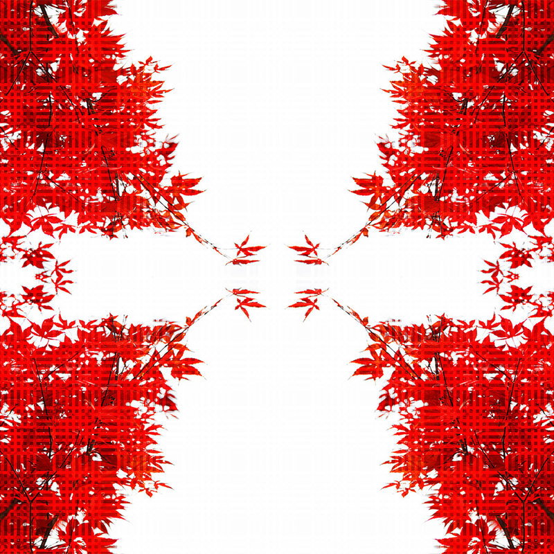 Architects Paper Fototapete AP Digital 4