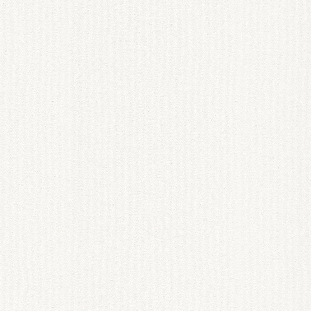 A.S. Création Behang Shades of White