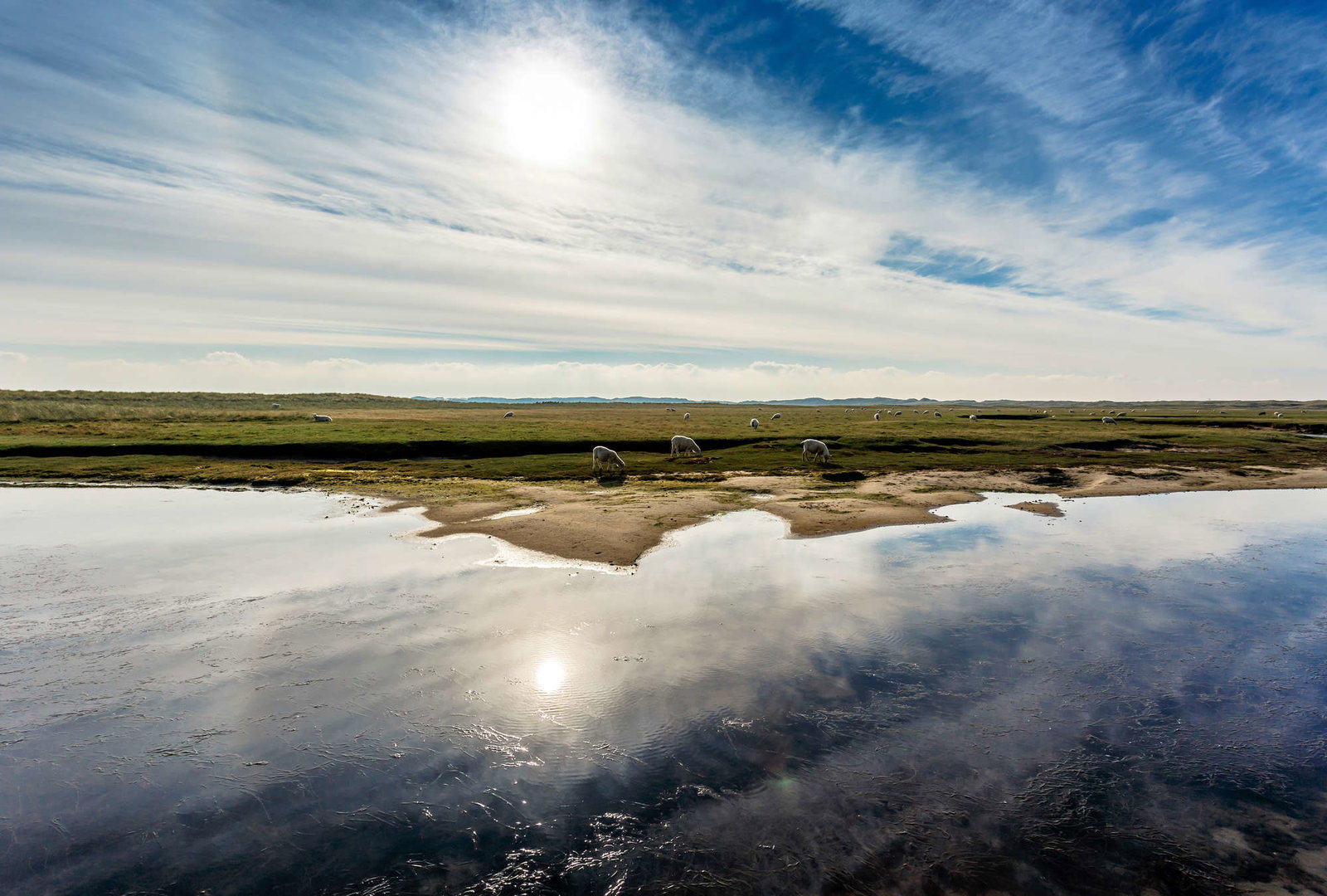 Architects Paper impression numérique AP Digital 2