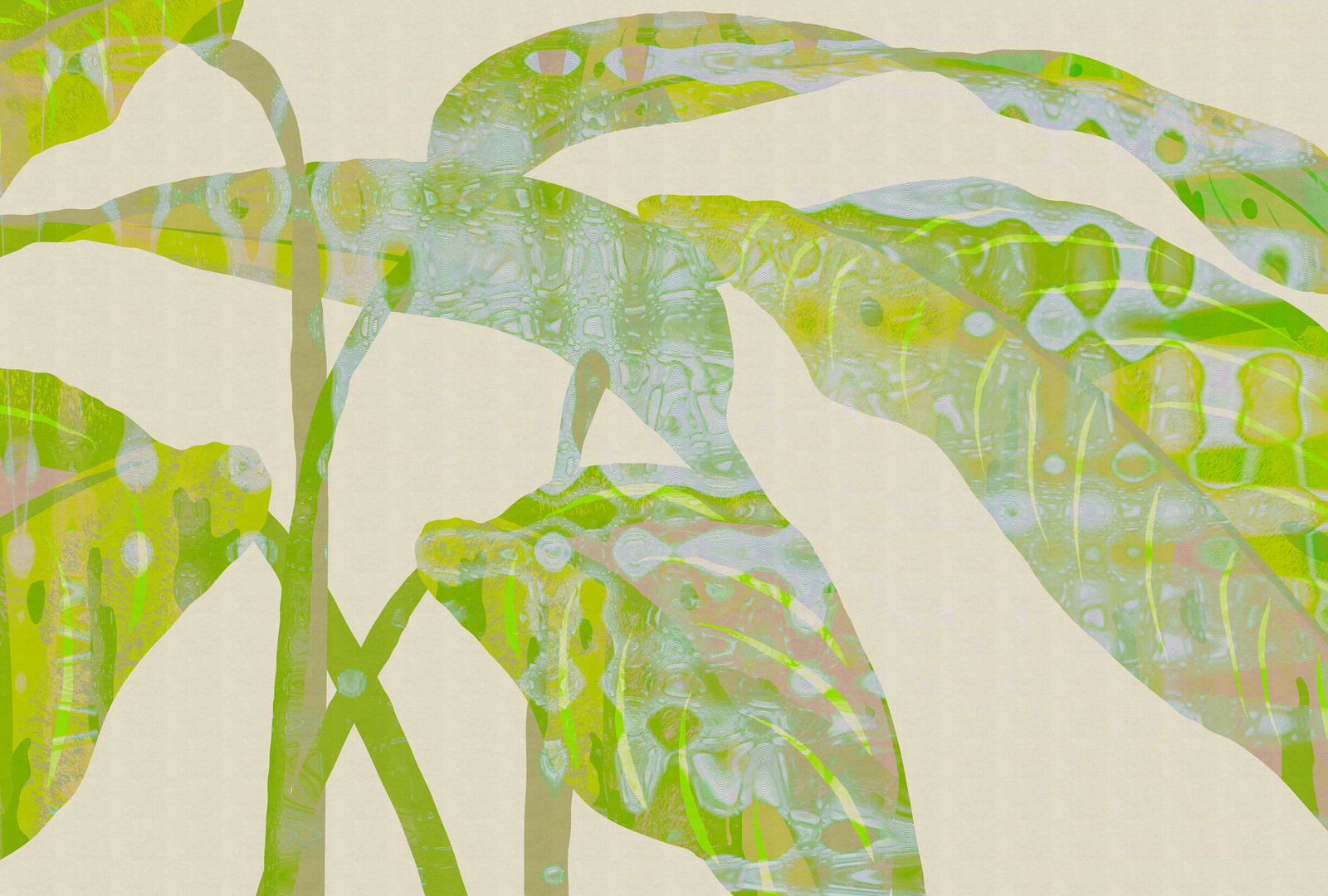 walls by patel Photo wallpaper Walls by Patel 5