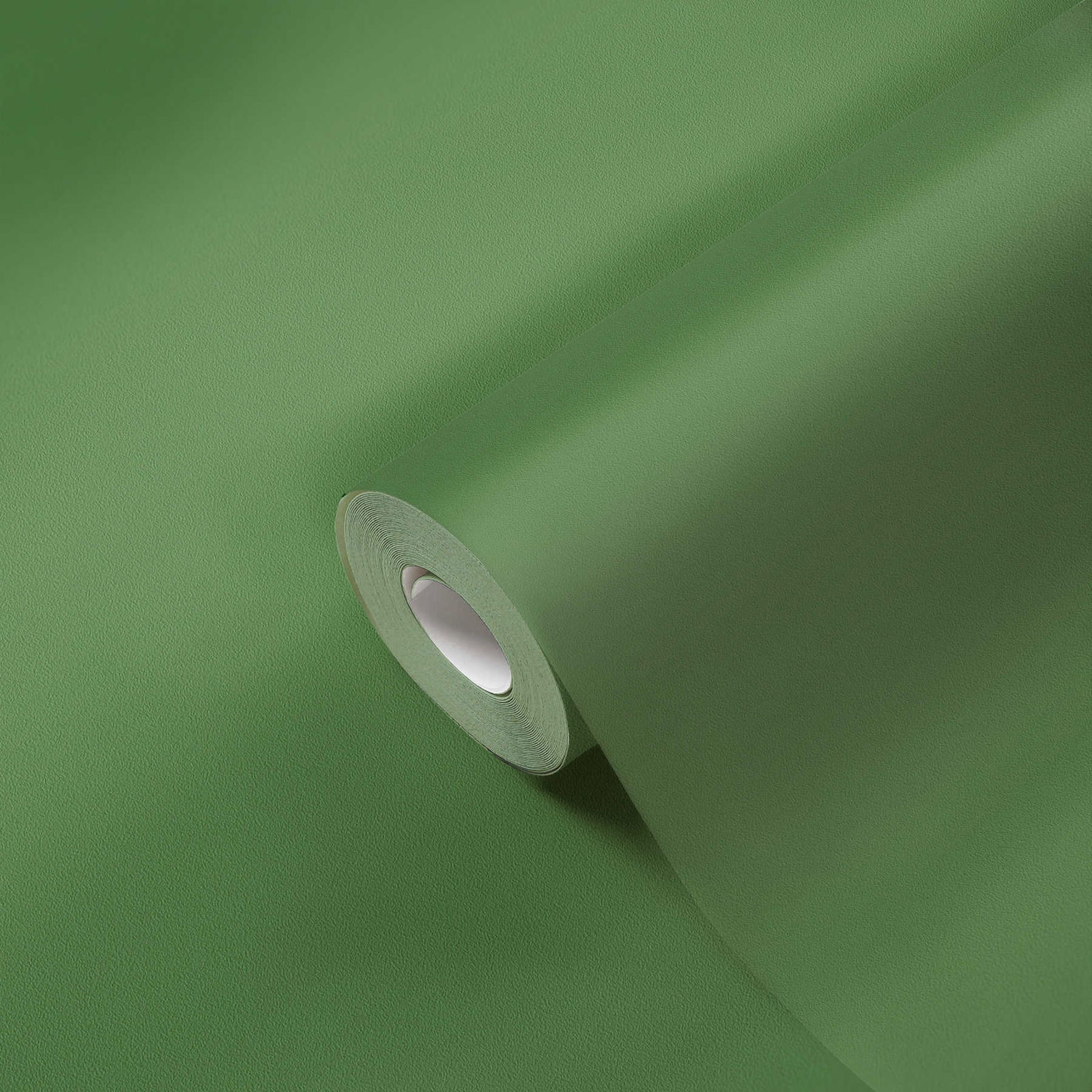 Architects Paper Wallpaper AP Longlife Colours