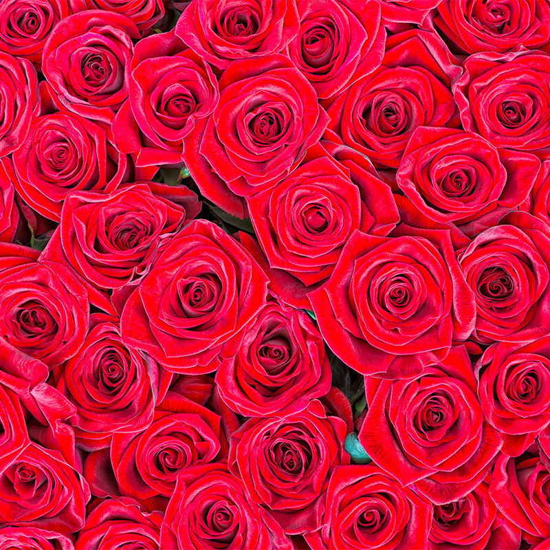 livingwalls Фотообои XXLwallpaper 2