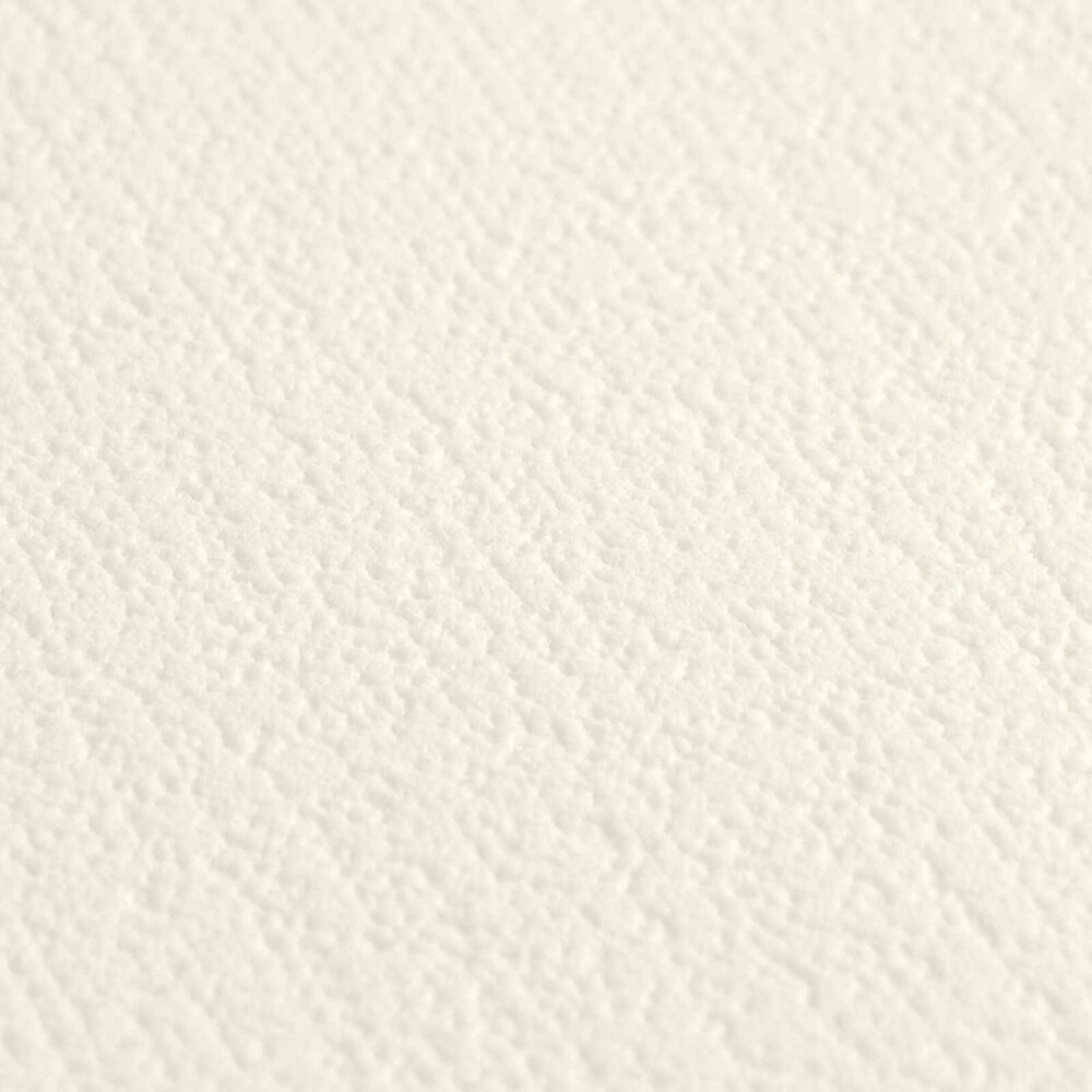 A.S. Création papier peint Designed in White