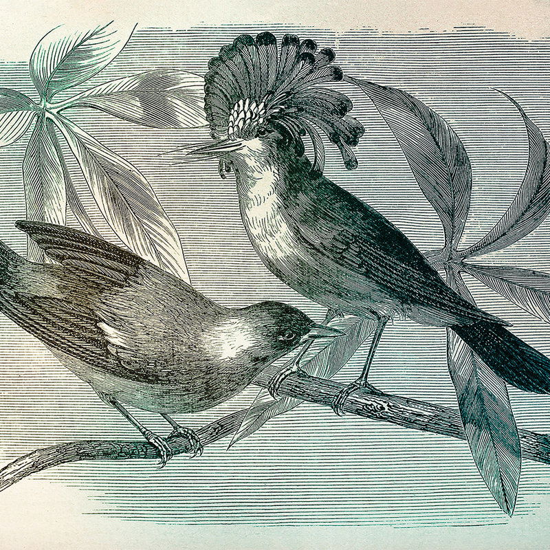 walls by patel impression numérique Walls by Patel