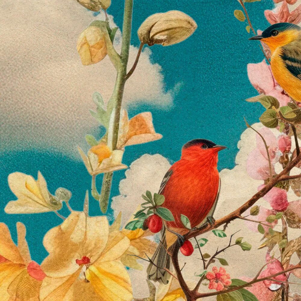 walls by patel impression numérique Walls by Patel 5