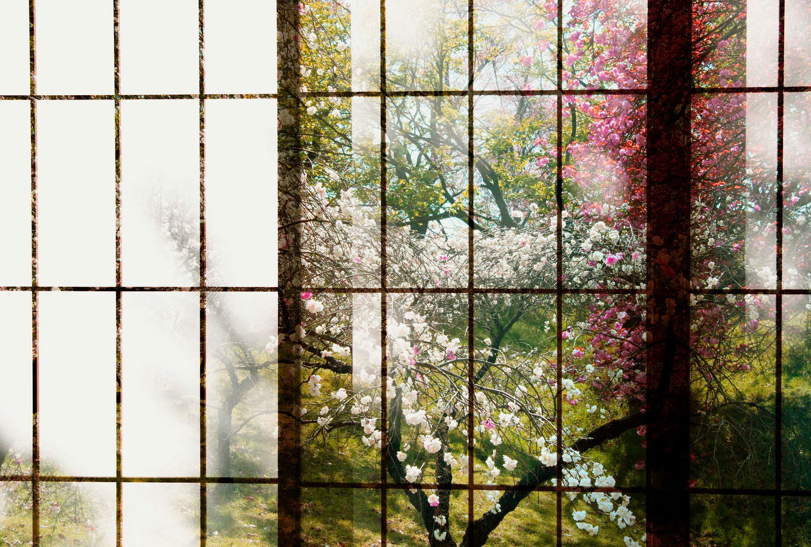 walls by patel Fotobehang Walls by Patel 2