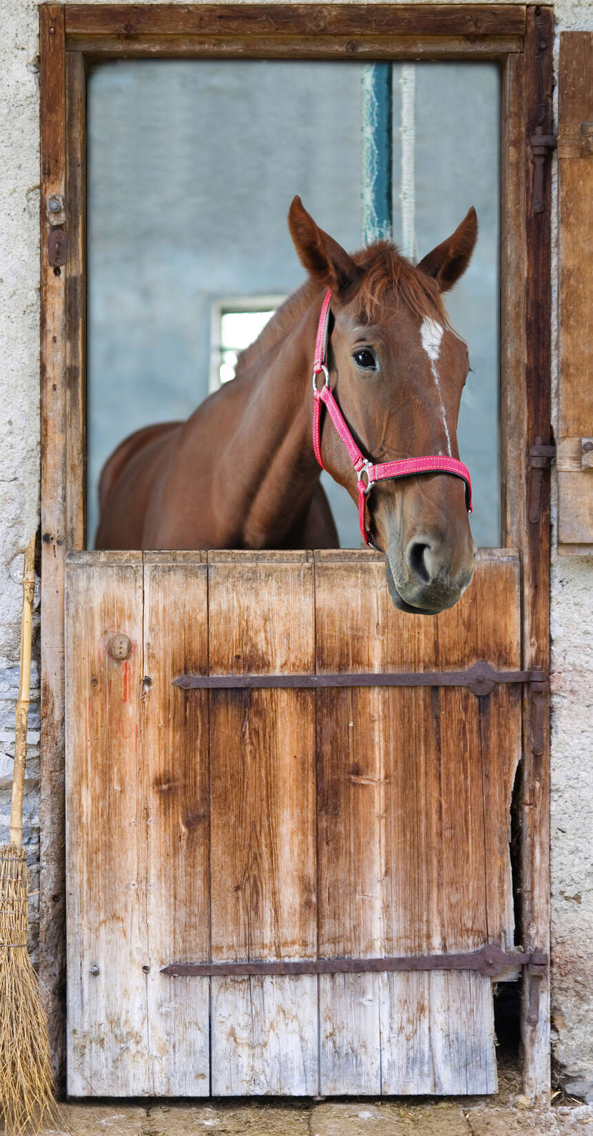 livingwalls Fotopaneel XXLwallpaper 3