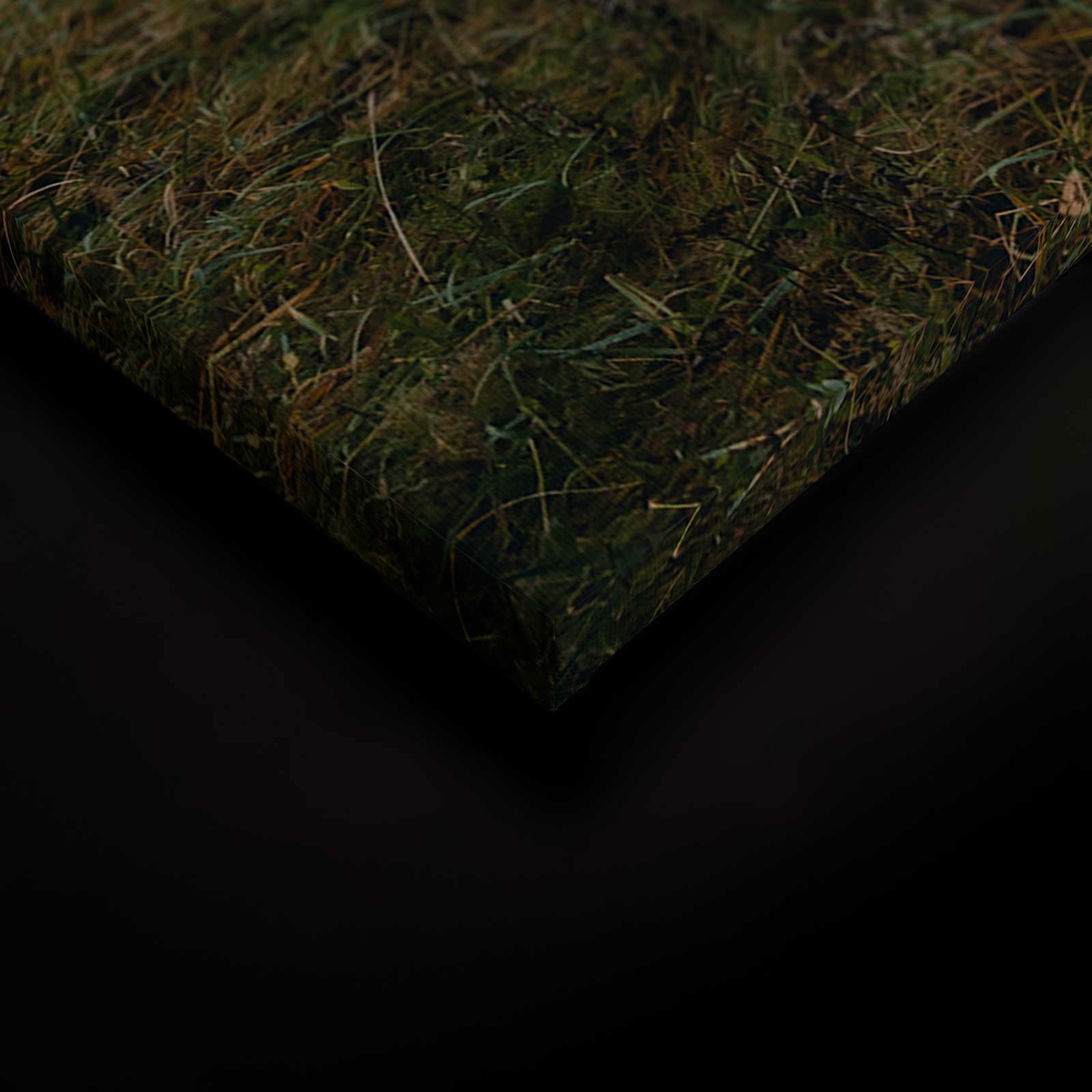 livingwalls Leinwandbild Designwalls 2 livingwalls Leinwandbild Designwalls 2