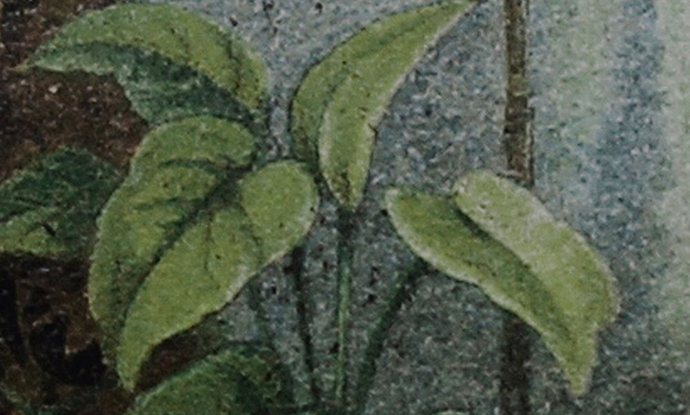 walls by patel Фотообои Walls by Patel