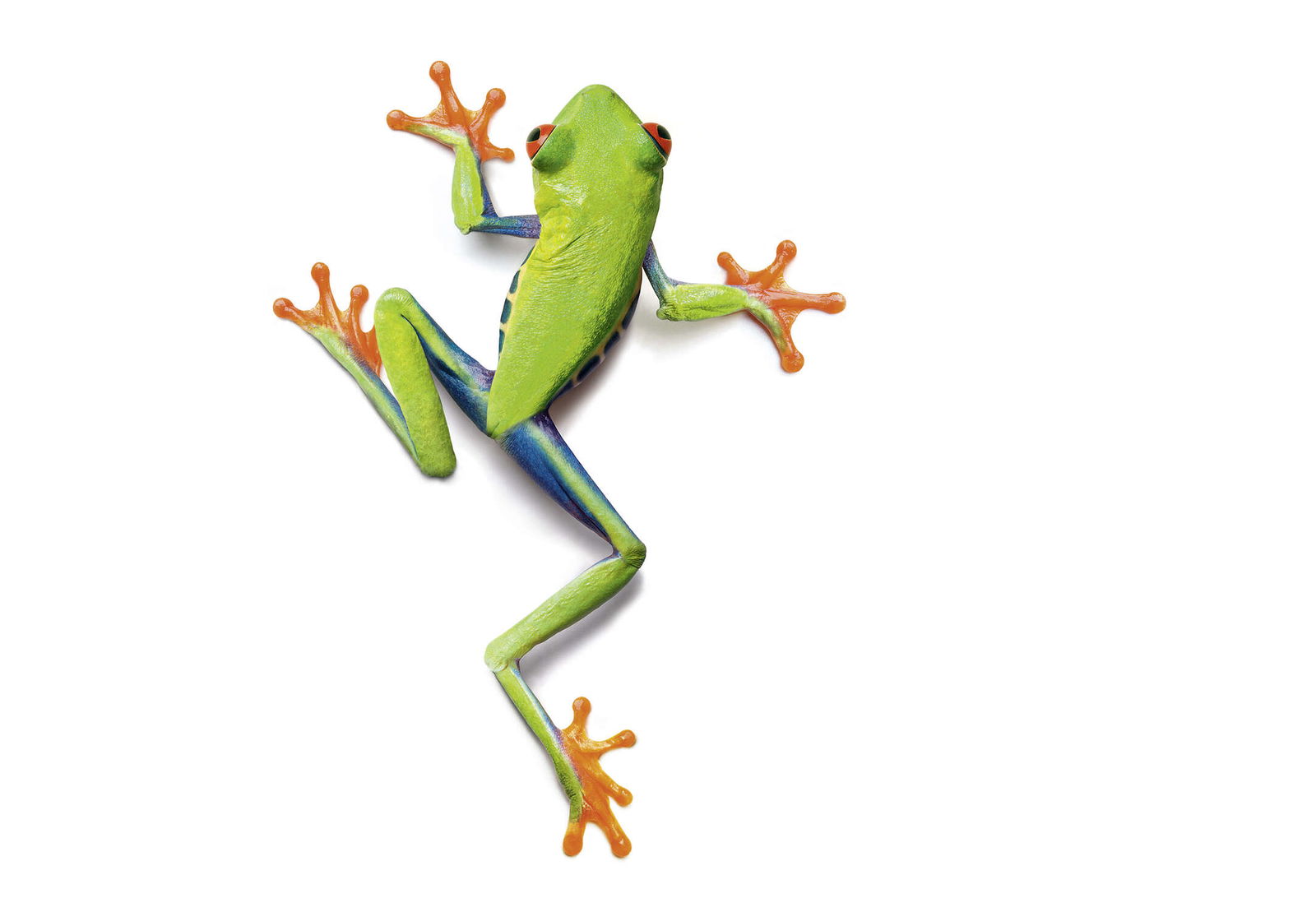 Architects Paper impression numérique AP Digital