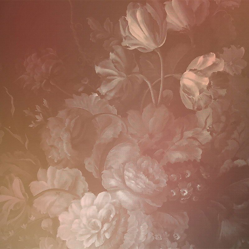 walls by patel Photo wallpaper Walls by Patel 2