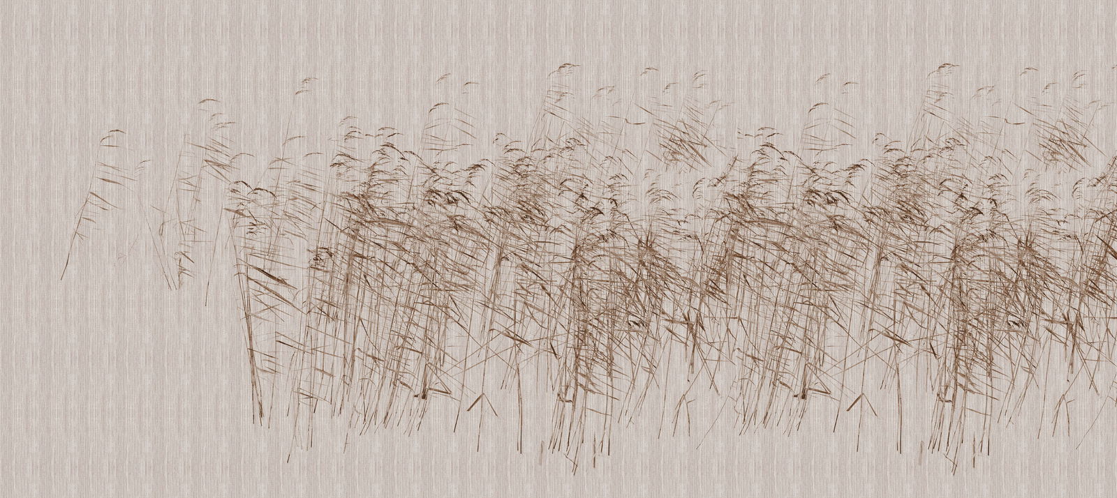 walls by patel Fototapete Walls by Patel 3 walls by patel Fototapete Walls by Patel 3