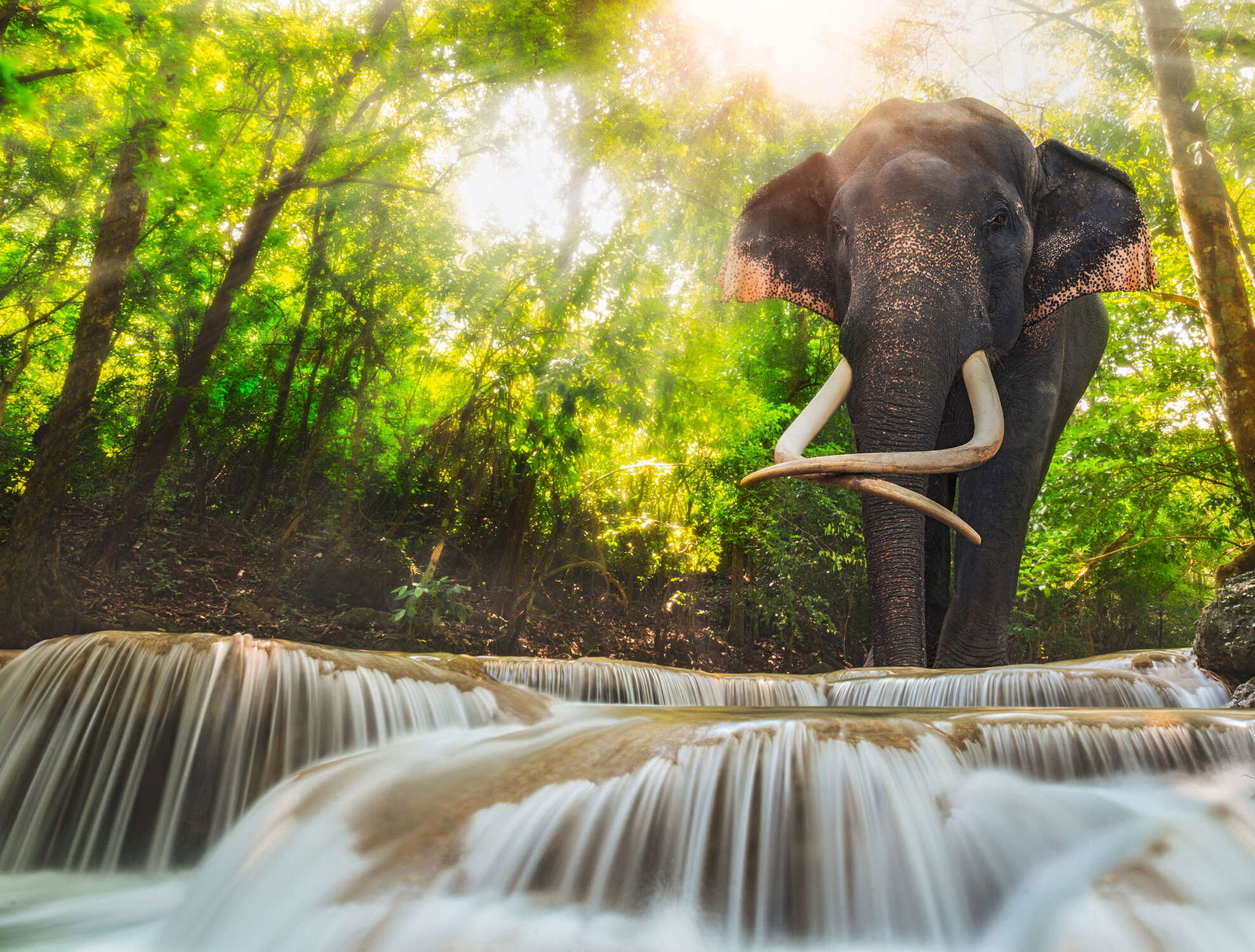 livingwalls Fototapete XXLwallpaper 3