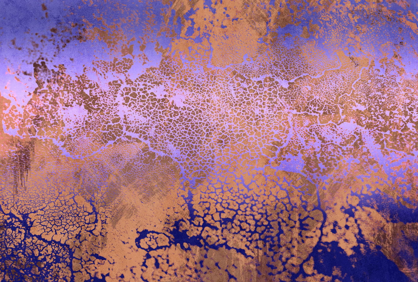 walls by patel Photo wallpaper Walls by Patel 5