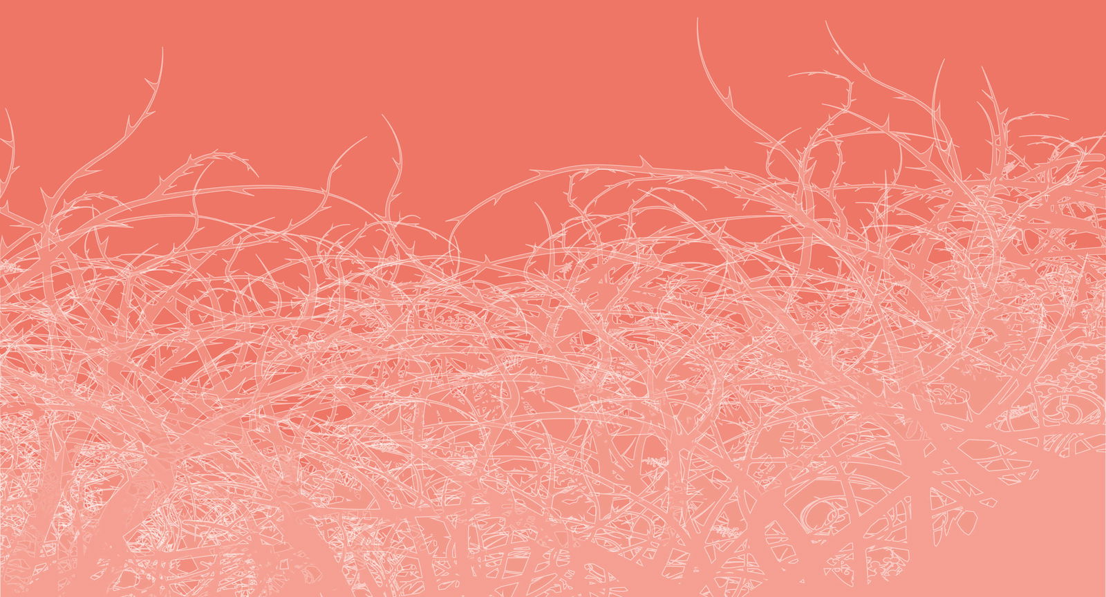 Architects Paper impression numérique Atelier 47