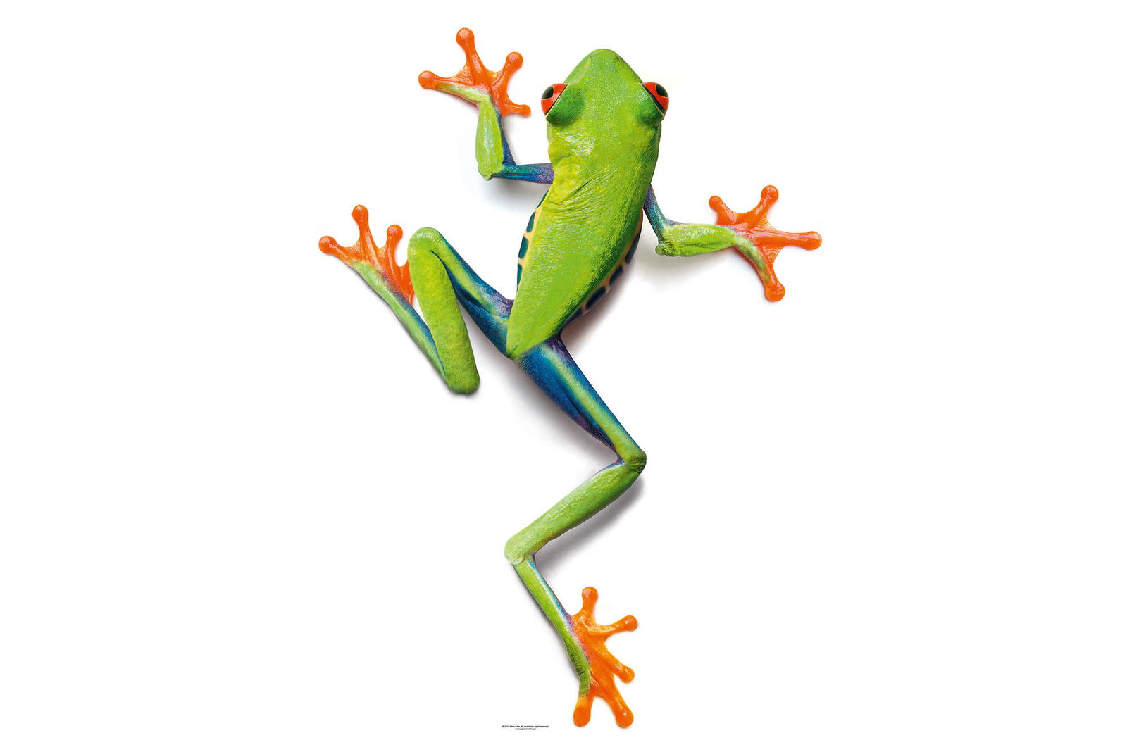 Architects Paper Фотообои AP Digital