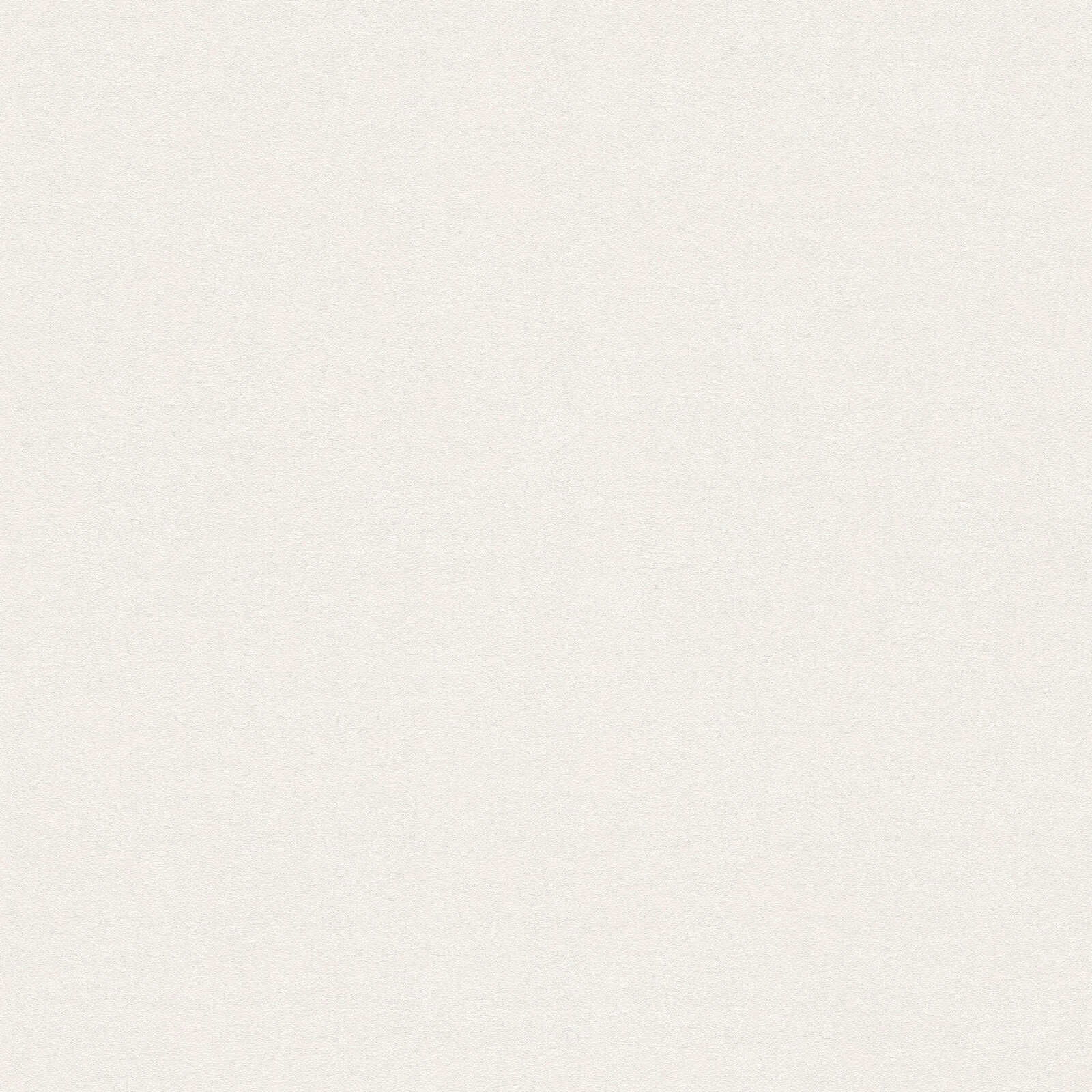 A.S. Création Wallpaper Attractive 3