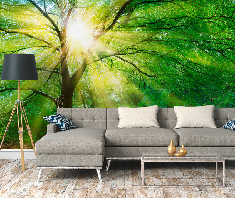 livingwalls Fototapete Designwalls