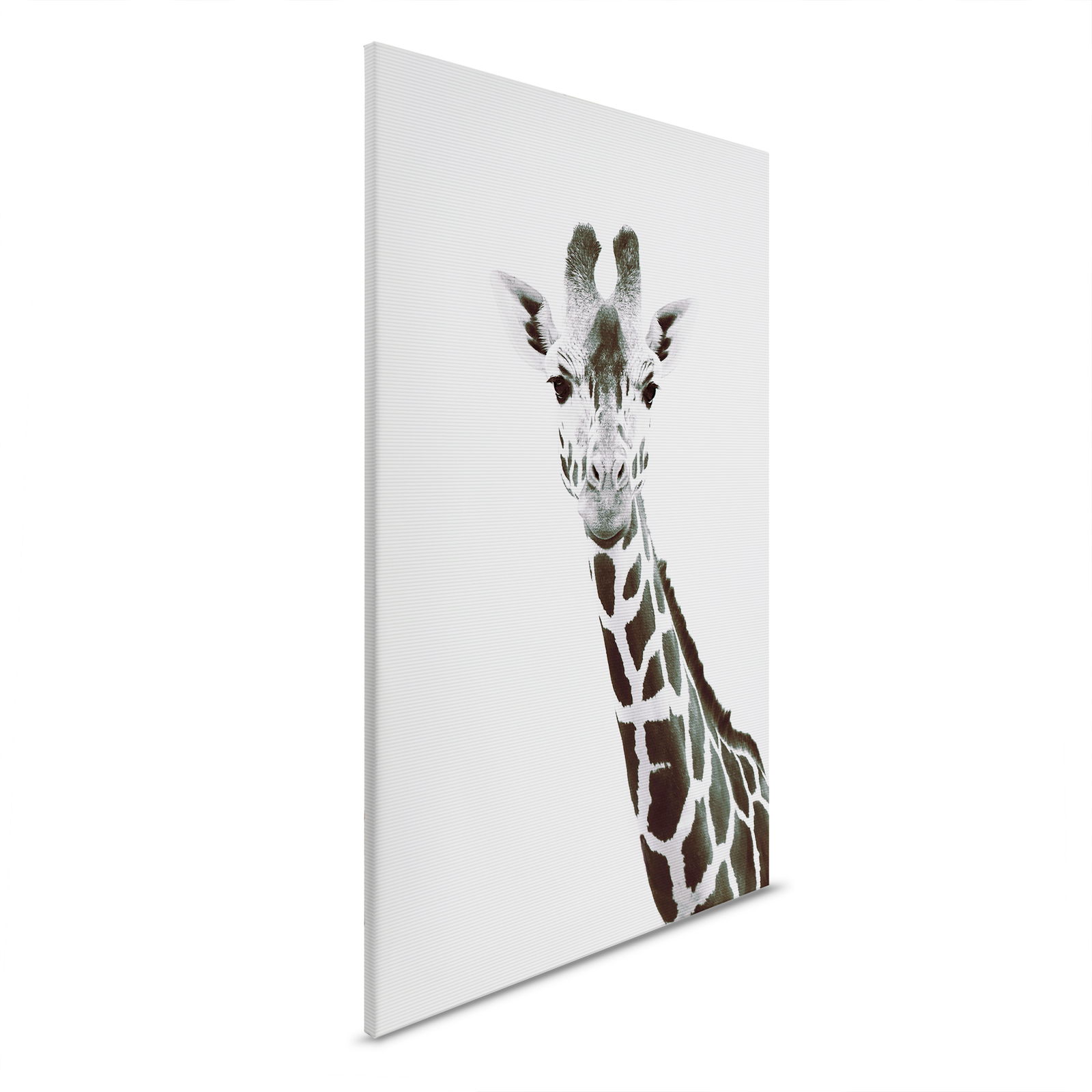 livingwalls tableau sur toile ARTist
