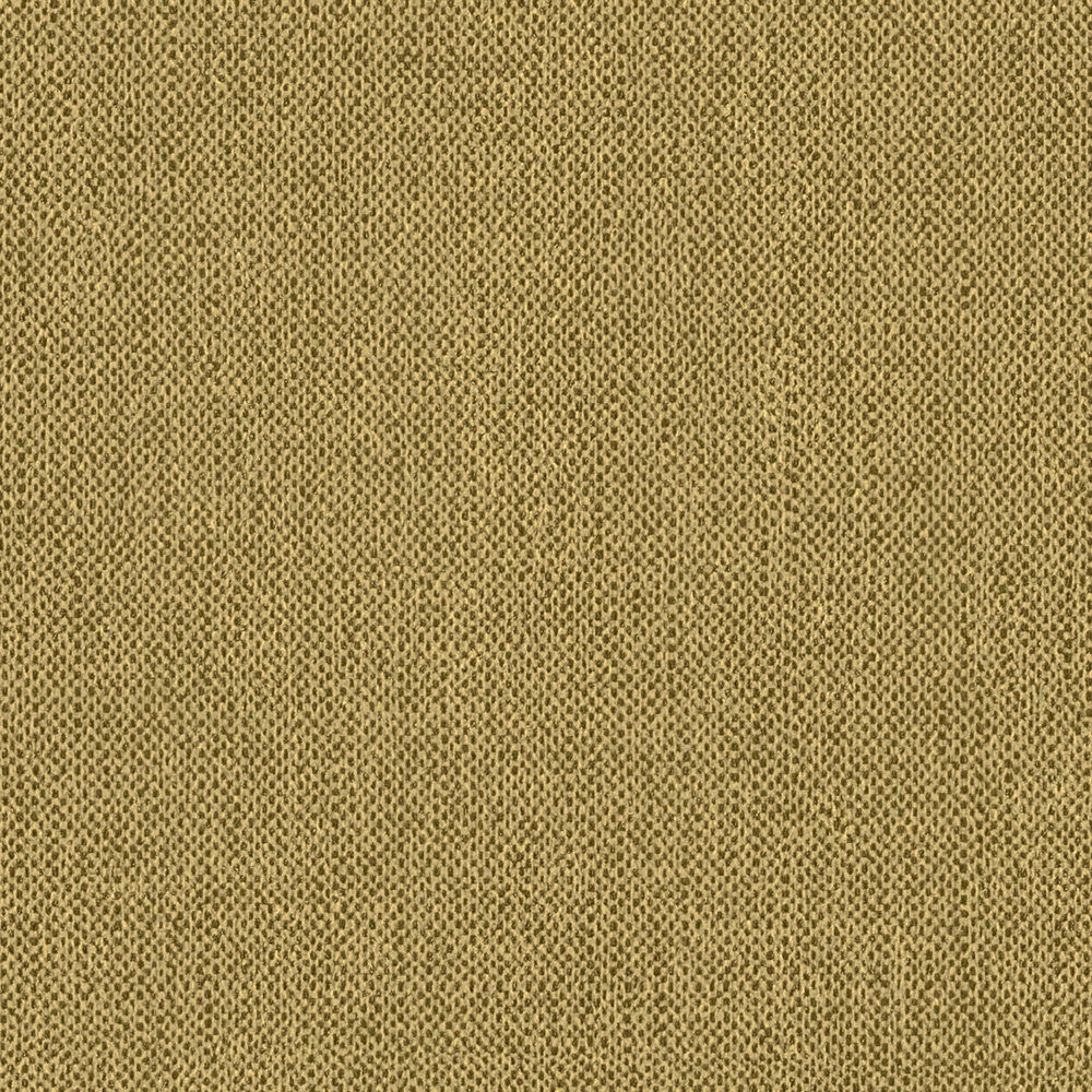 Architects Paper Wallpaper Jungle Chic