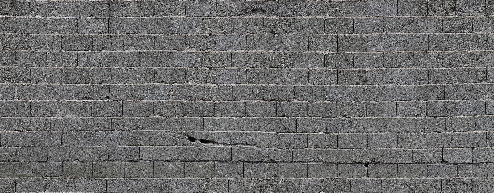 Architects Paper Fototapete AP Digital