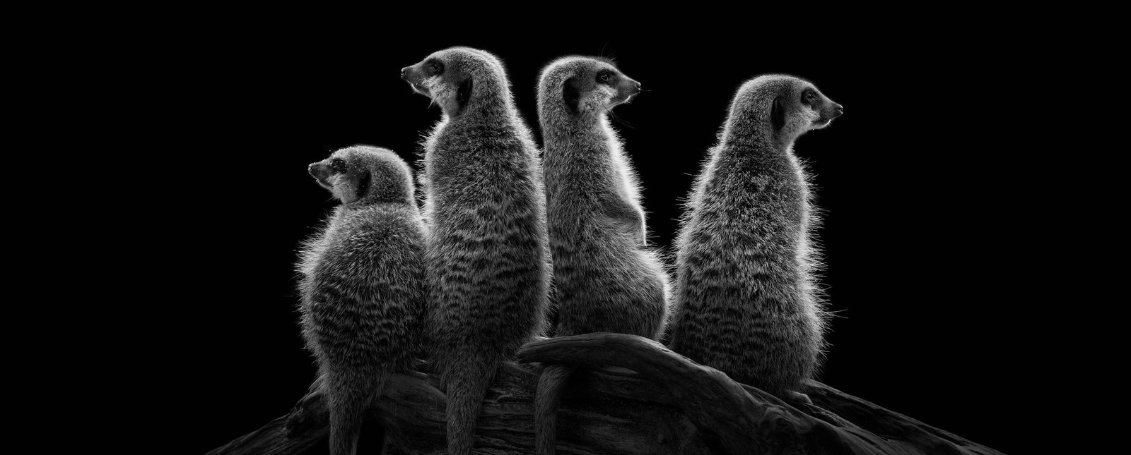 Architects Paper impression numérique AP Digital 2