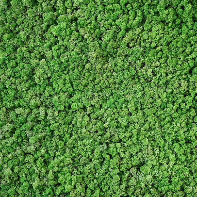 Architects Paper Fototapete AP Digital 4