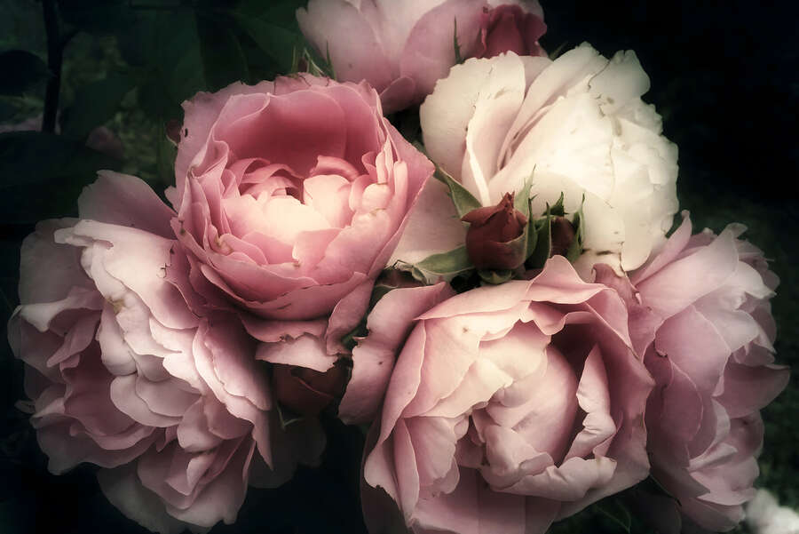 A.S. Création Fototapete Wall Love A.S. Création Fototapete Wall Love