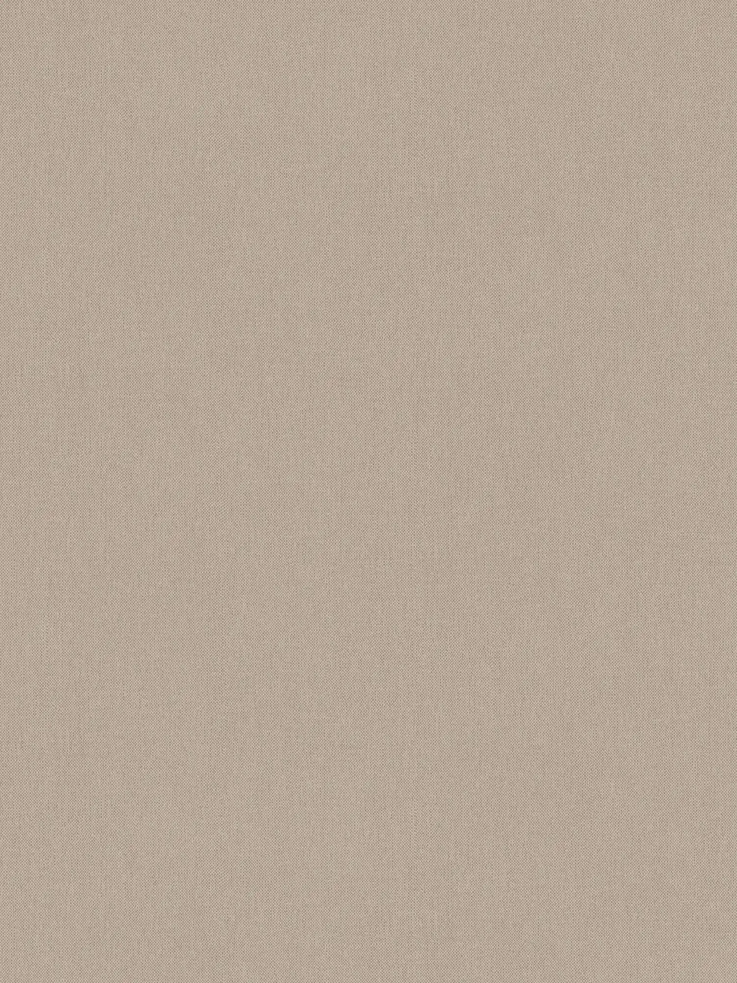 Architects Paper Wallpaper Jungle Chic