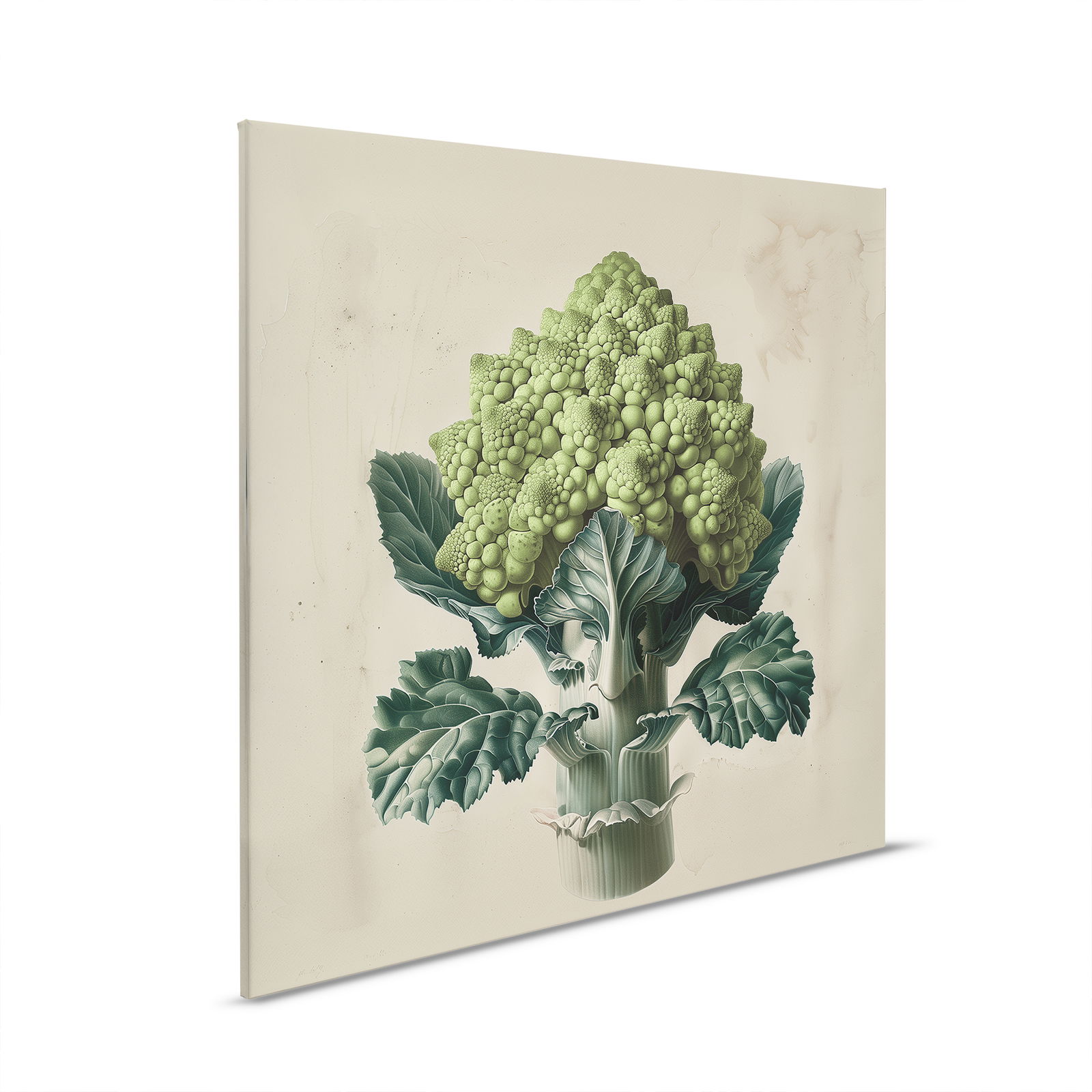 A.S. Création tableau sur toile Canvas 2024