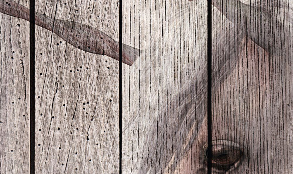 walls by patel Fotobehang Walls by Patel 2