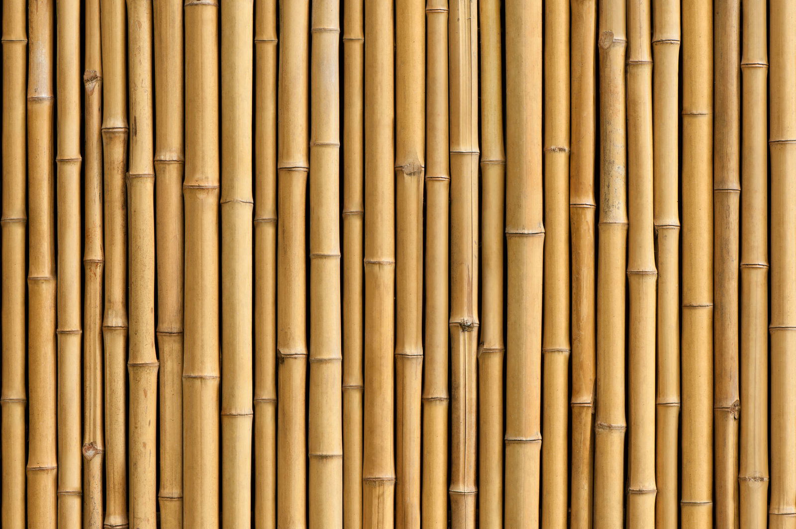 livingwalls Photo wallpaper XXLwallpaper 3