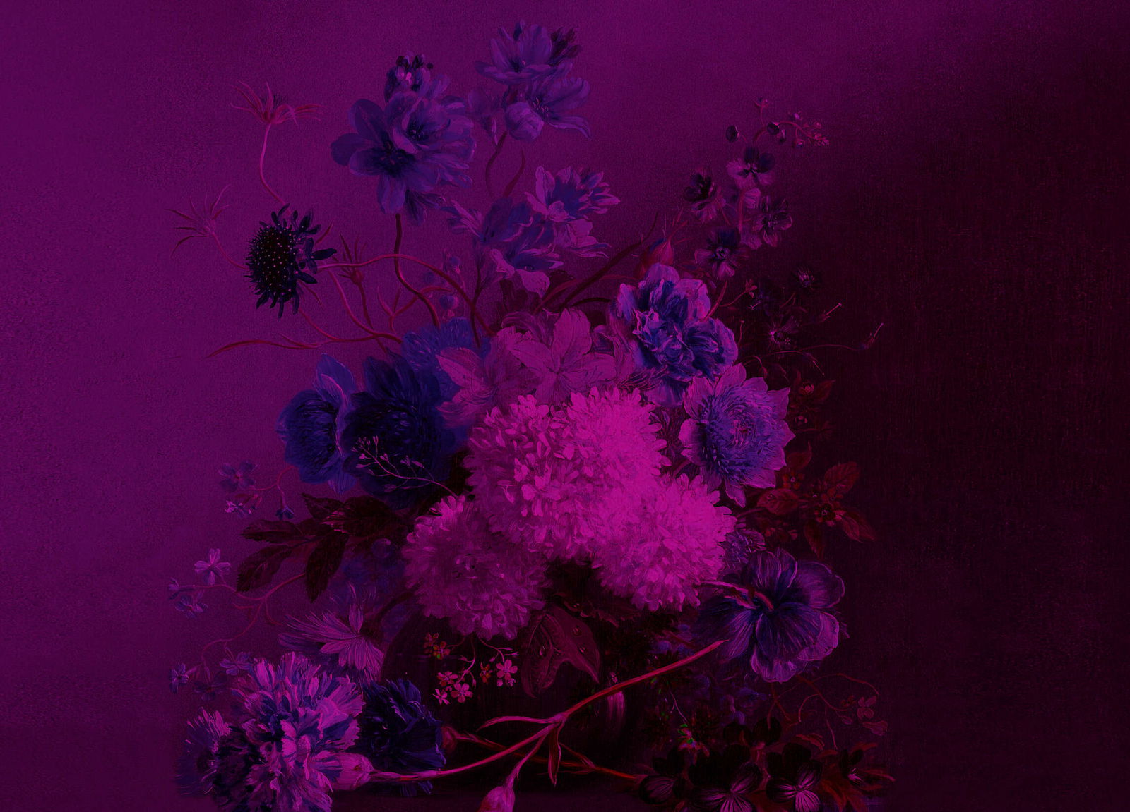 walls by patel impression numérique Walls by Patel