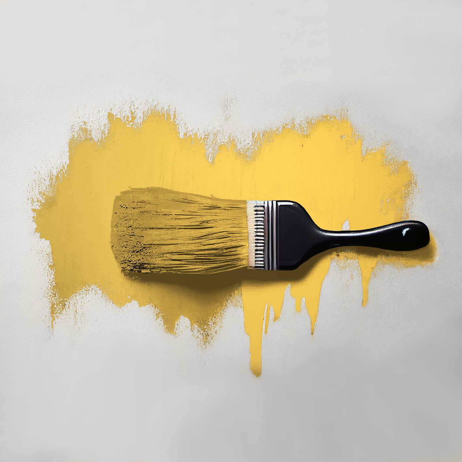 The Color Kitchen Farbe Color Kitchen The Color Kitchen Farbe Color Kitchen