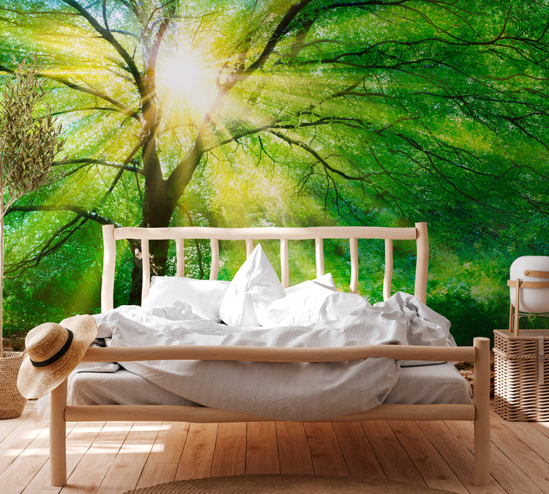 livingwalls Fototapete Designwalls