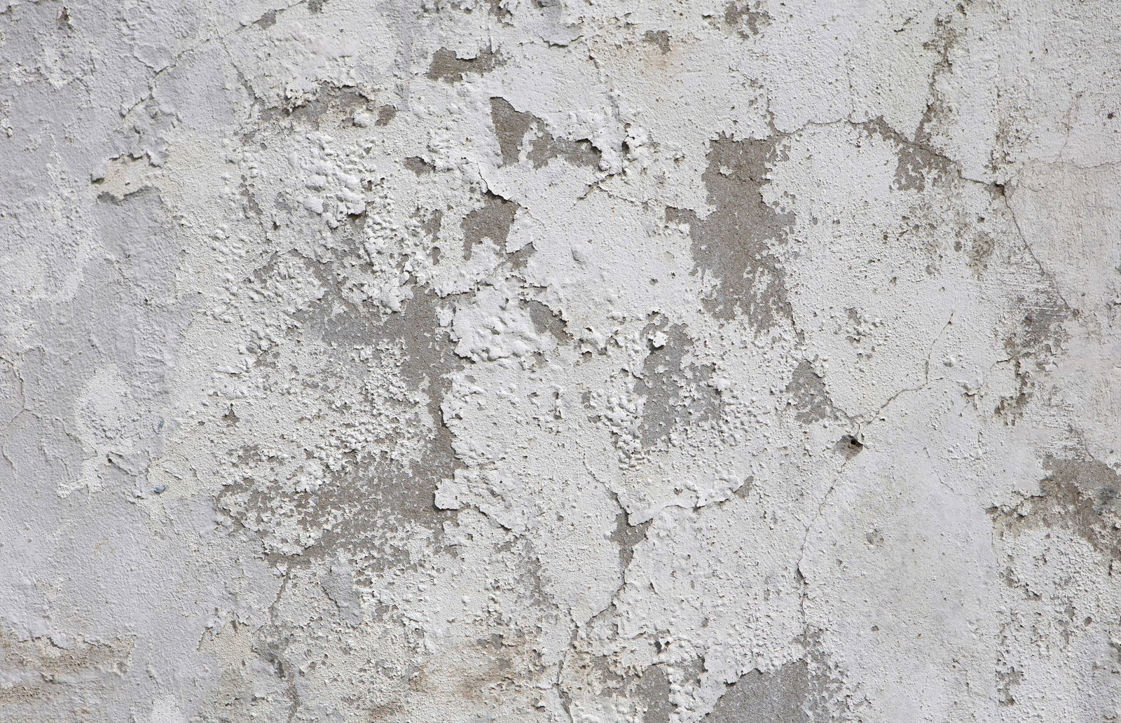 Architects Paper Photo wallpaper AP Digital 4