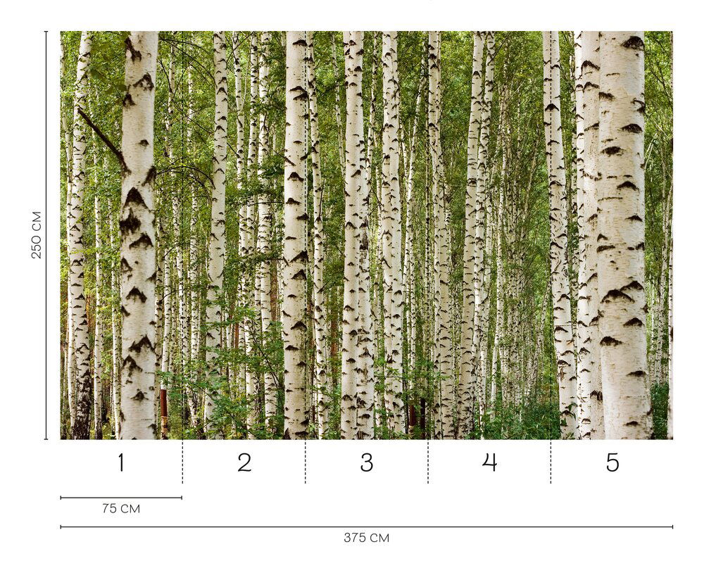 A.S. Création Fototapete Wall Love A.S. Création Fototapete Wall Love