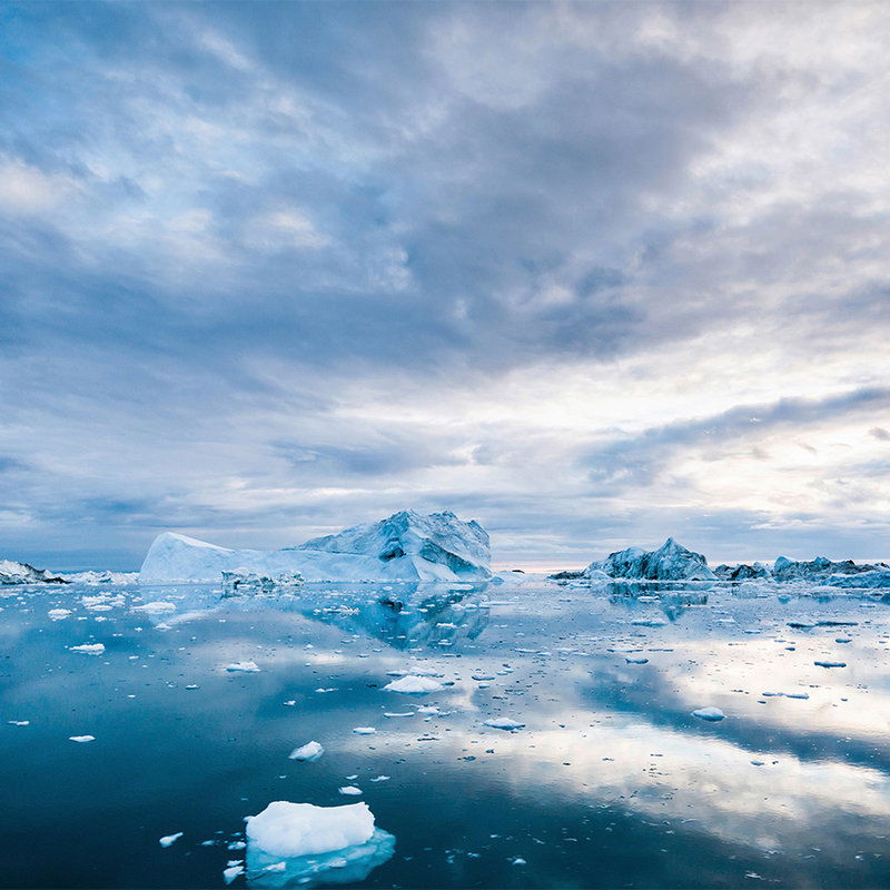 livingwalls Fototapete XXLwallpaper 2 livingwalls Fototapete XXLwallpaper 2