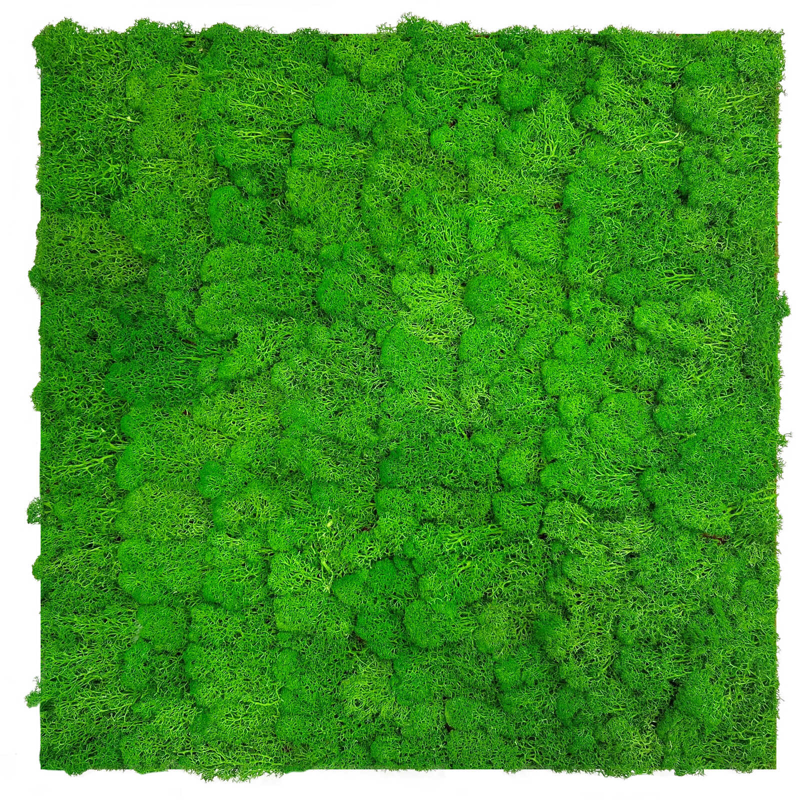 A.S. Création Wandpaneel Modular Wall