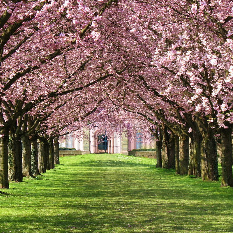 livingwalls Fototapete Nature livingwalls Fototapete Nature